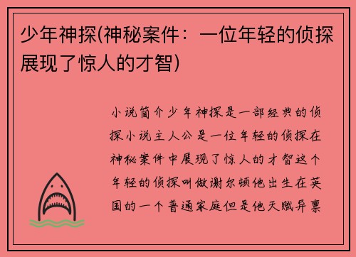少年神探(神秘案件：一位年轻的侦探展现了惊人的才智)